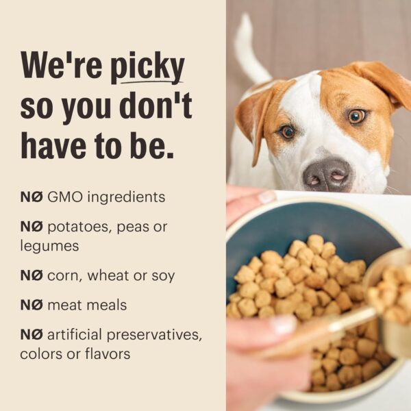 The Honest Kitchen Whole Food Clusters Small Breed Whole Grain Chicken Dry Dog Food, 1 lb Trial Pouch - Image 3
