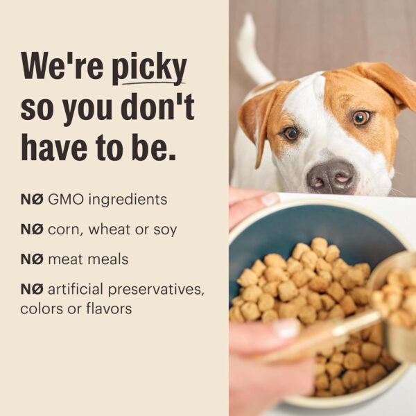 The Honest Kitchen Whole Food Clusters Puppy Grain Free Chicken Dry Dog Food, 1 lb Bag - Image 5