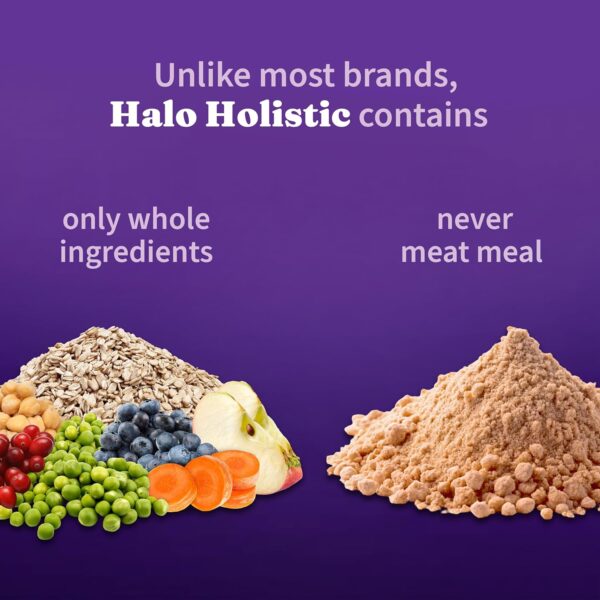 Halo Holistic Plant-Based Recipe With Superfoods, Complete Digestive Health, Vegan Dry Dog Food Bag, Adult Formula, 10-lb Bag - Image 4