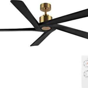 WINGBO 54 Inch DC Ceiling Fan without Lights, 5 Reversible Carved Solid Wood Blades, 6-Speed Noiseless DC Motor, Ceiling Fan No Light with Remote, Brass Finish with Black Blades, ETL Listed