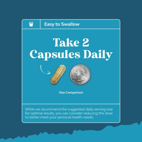 Nootropic Brain Supplement for Memory and Focus Enhancement - Vitamins for Mental Health & Clarity with VIT A, B6, Riboflavin, Niacin, Thiamin & Folate - Cognitive Complex for Mind Vitality - 60 Ct - Image 6