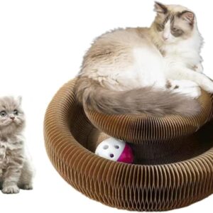 Magic Organ Cat Scratcher Board Cat Ball Adventure The Ultimate Interactive Mental Physical Exercise for Indoor Cats Toy
