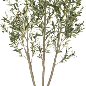 Olive Trees Artificial Indoor, 6FT Tall Faux Olive Tree with White Tall Planter, Artificial Plants with Natural Wood Trunk and Lifelike Fruits for Home Office Decor