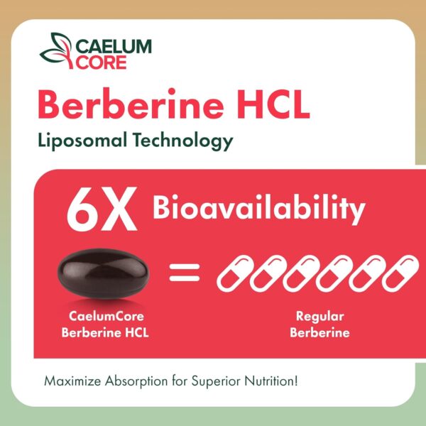 Liposomal Berberine HCL - Berberine 1500mg Activates AMPK & GLP-1, High Bioavailability Berberines Supplement for Women and Men, Berberine Plus Overall Health Support (1 Pack) - Image 2