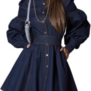 Denim Shirt Dress Niche Design Sense Lantern Sleeve lace-up Temperament Fashion Dress Lady