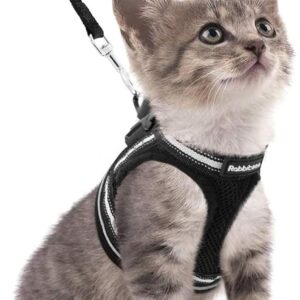 rabbitgoo Cat Harness and Leash Set for Walking Escape Proof, Adjustable Soft Kittens Vest with Reflective Strip for Cats, Comfortable Outdoor Vest, Black, S