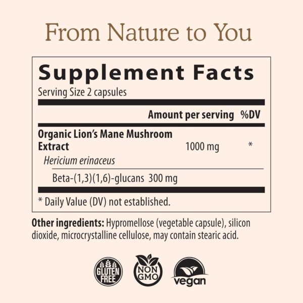 Lions Mane Mushroom Cognition (120 Capsules) Lions Mane Mushroom Powder Extract Capsules | Brain Supplement, Brain Vitamins, Focus Supplement - Image 3