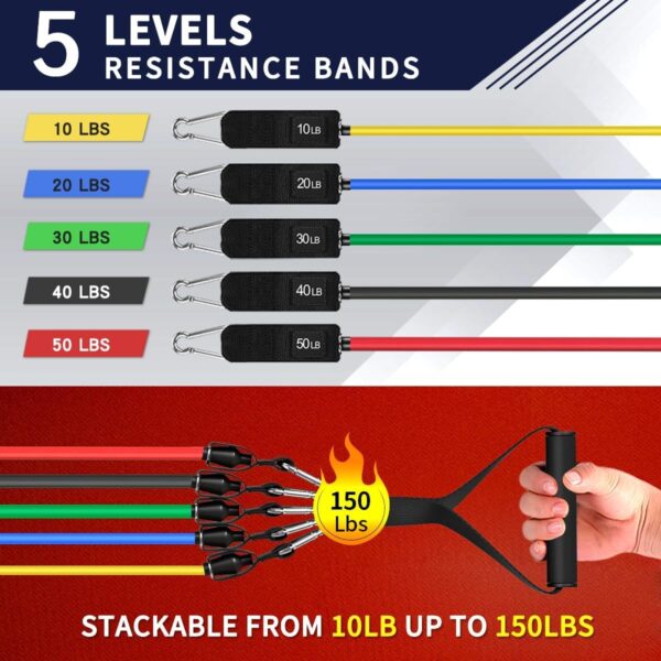 WHATAFIT Resistance Bands, Exercise Bands，Resistance Bands for Working Out, Work Out Bands with Handles for Men and Women Fitness, Strength Training Home Gym Equipment - Image 2