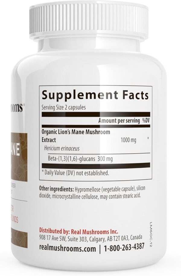 Lions Mane Mushroom Cognition (120 Capsules) Lions Mane Mushroom Powder Extract Capsules | Brain Supplement, Brain Vitamins, Focus Supplement - Image 8