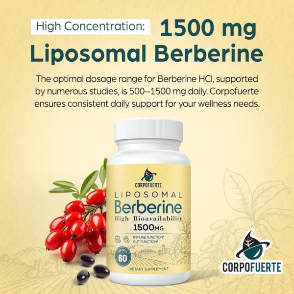 Liposomal Berberine HCl 1500 mg - Berberine Supplement Activates AMPK & GLP-1 - Supports Reduces Body Burden in Women and Men (1 Pack) - Image 6