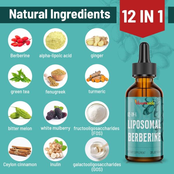 Berberine HCl Supplement 3000 mg - Liposomal Berberine HCl Liquid - AMPK Activator with Turmeric, Ceylon Cinnamon, 12 Natural Ingredients - 2 fl oz - Image 3