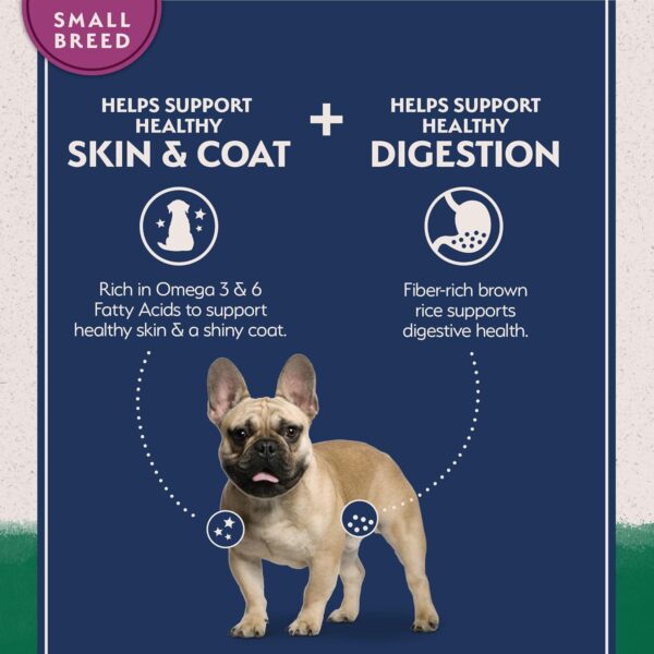 Natural Balance Limited Ingredient Small-Breed Adult Dry Dog Food with Healthy Grains, Lamb & Brown Rice Recipe, 4 Pound (Pack of 1) - Image 5