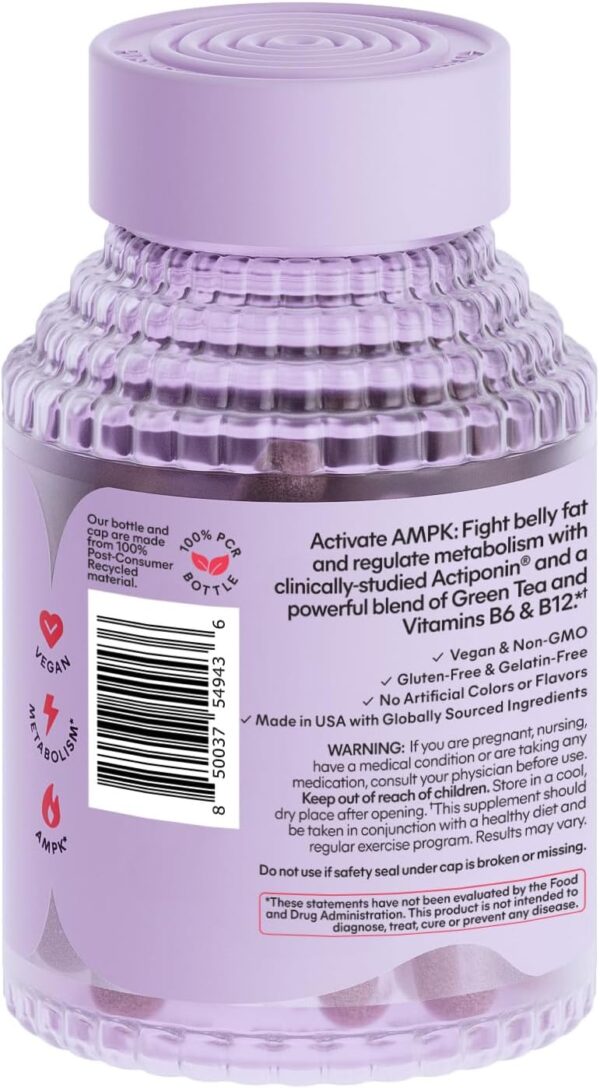 Lemme Burn - Metabolism, Belly Fat Burning + AMPK Activating Supplement for Men & Women w/Clinically Studied Actiponin Gynostemma, Green Tea Extract, Vitamins B6 & B12 - Gluten Free, 60 Count - Image 7