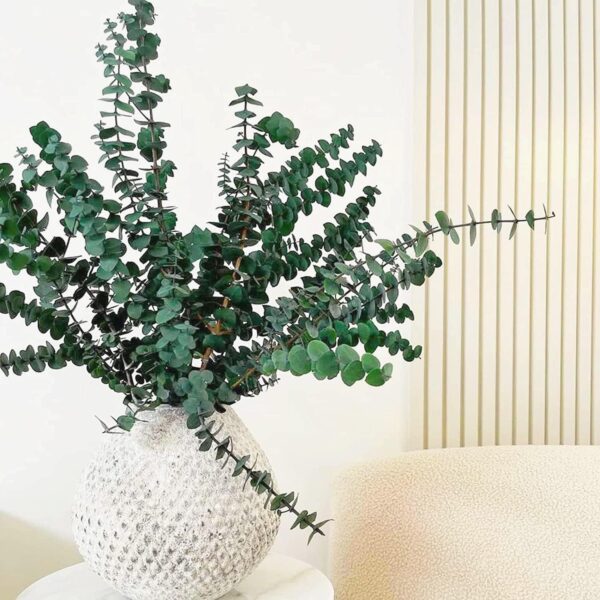 30 Pcs Dried Preserved Eucalyptus Stems Shower Bundle, 9oz 17" Natural Fresh Eucalyptus Plant, Real Leaves Branches for Shower Vase Filler, Dried Flowers Arrangement Home Decor - Image 8