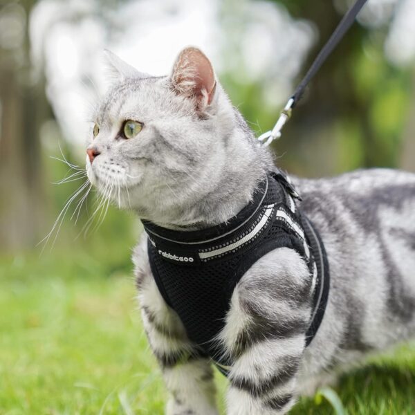 rabbitgoo Cat Harness and Leash Set for Walking Escape Proof, Adjustable Soft Kittens Vest with Reflective Strip for Cats, Comfortable Outdoor Vest, Black, S - Image 8