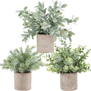 Der Rose 3 Pack Mini Potted Fake Plants Artificial Plastic Eucalyptus Plants Topiaries for Home Office Desk Farmhouse Room Bathroom Decor