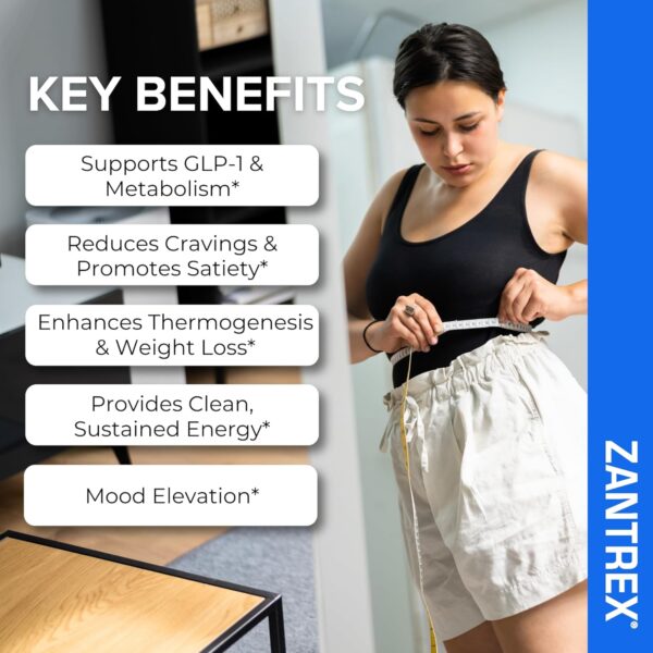 Zantrex Blue Energy & Thermogenesis Boost Energy | Weight Loss Supplement for Appetite Control, Increased Calorie Burn and Supports GLP-1 Levels | 84 Capsules - Image 3