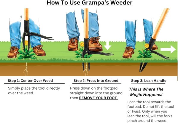 Grampa's Weeder - The Original Stand Up Weed Puller Tool with Long Handle - Made with Real Bamboo & 4-Claw Steel Head Design - Easily Remove Weeds Without Bending, Pulling, or Kneeling. - Image 6