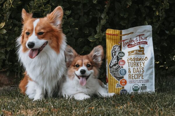 Tender & True Small Breed Organic Turkey & Oats - Image 3