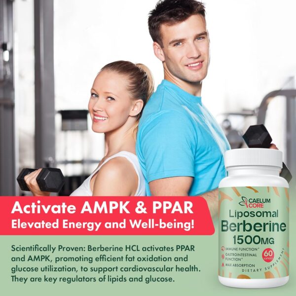 Liposomal Berberine HCL - Berberine 1500mg Activates AMPK & GLP-1, High Bioavailability Berberines Supplement for Women and Men, Berberine Plus Overall Health Support (1 Pack) - Image 5