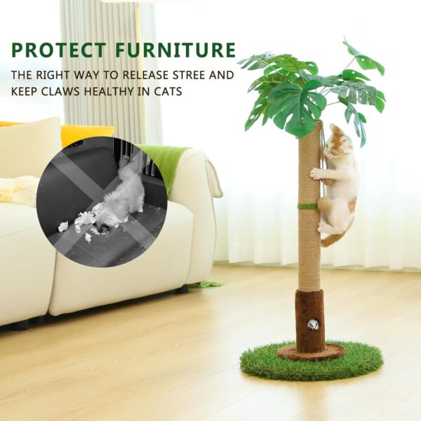 Cat Scratching Post for Indoor Cats and Kitten - 35.43" Tall Cat Scratching Post with Sisal Rope,Palm Tree Cat Scratch Post with Hanging Ball - Image 4
