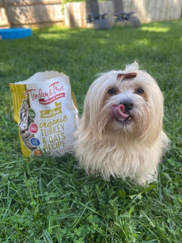 Tender & True Small Breed Organic Turkey & Oats - Image 4