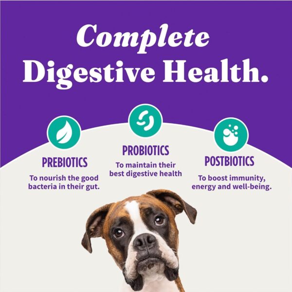 Halo Holistic Vegan Dog Food, Plant-Based Recipe with Kelp, Dry Dog Food, Complete Digestive Health, Kibble for Adult Dogs, 3.5 lb Bag - Image 8