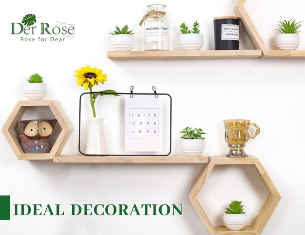 Der Rose Set of 6 Succulents Plants Artificial in Pots Small Fake Plants for Bedroom Aesthetic Living Room Office Shelf Bathroom Decor - Image 3