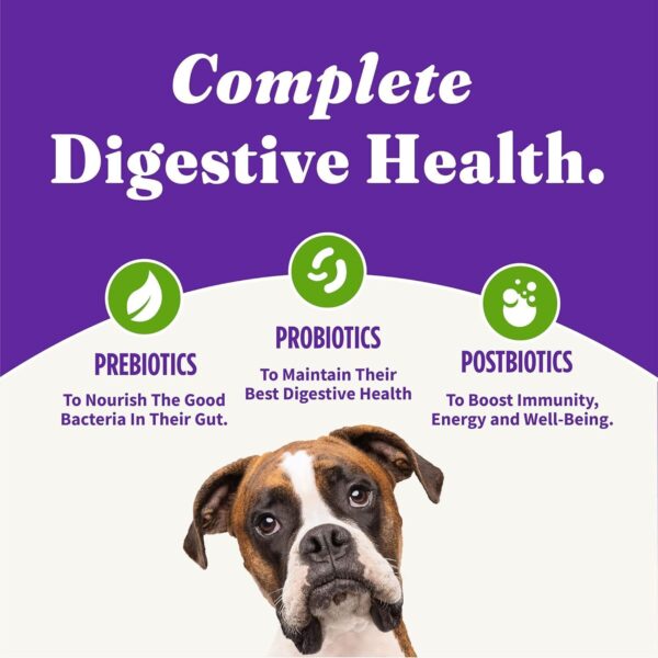 Halo Holistic Plant-Based Recipe With Superfoods, Complete Digestive Health, Vegan Dry Dog Food Bag, Adult Formula, 10-lb Bag - Image 8