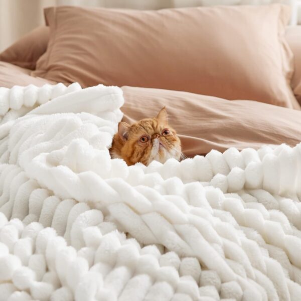 Bedsure White Throw Blanket for Couch - GentleSoft Cozy Blanket for Women, Cute Fleece Throws for Girls, Room Home Dorm Decor, Birthday Gifts for Women Men Mom Teacher Gifts, Off White, 50x60 Inches - Image 3