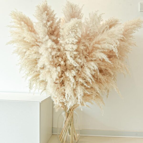 40" 11 PCS Dried Pampas Grass Decor Tall,Large Natural Beige pompas Grass,Tall Pampas Grass for Floor Vase,Wedding,Party,Farmhouse,Boho Home Decor,and Creating a Bohemian Ambiance - Image 5