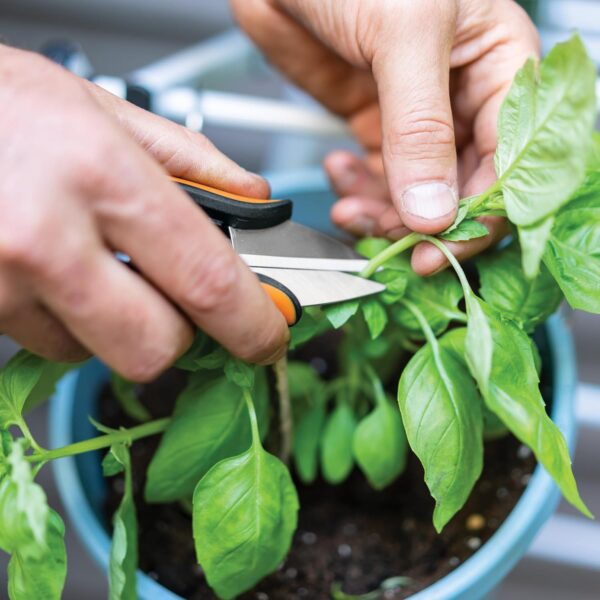 Fiskars Herb Garden Scissors, 5" Garden Shears, Handheld Herb Snips with Sheath and SoftGrip Handle, Dishwasher Safe - Image 3