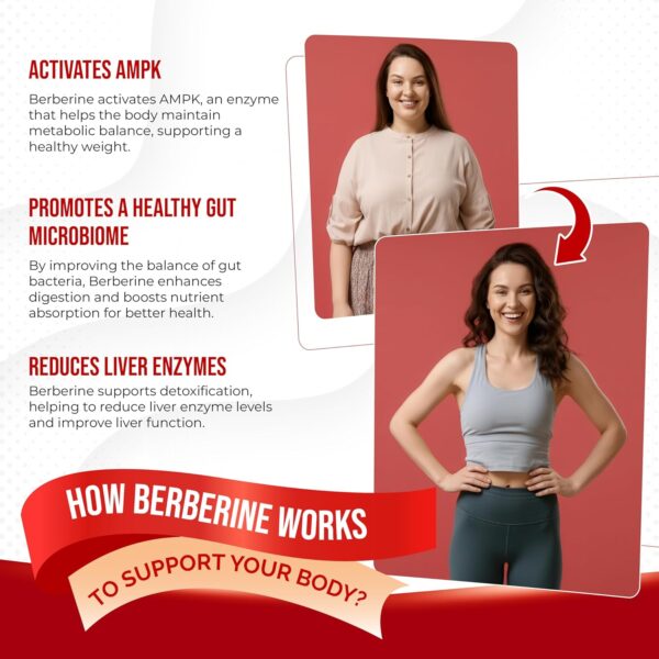 Berberine Supplement - Enhanced with Ceylon Cinnamon, Turmeric, Milk Thistle, Bitter Melon for Digestion, Immunity & Weight Managament (150 Count (Pack of 1)) - Image 3