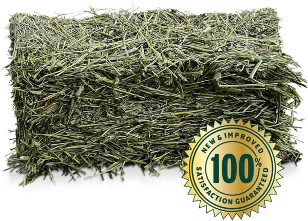 Eaton Pet and Pasture Naturally Grown, Premium, 1st Cut Blend, Western Timothy Hay Orchard Blend, Small Animal Food, Sustainable, Eco-Friendly, Farmer-Owned, 6LB-Box. - Image 2