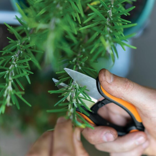 Fiskars Herb Garden Scissors, 5" Garden Shears, Handheld Herb Snips with Sheath and SoftGrip Handle, Dishwasher Safe - Image 4