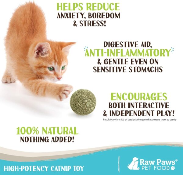 Raw Paws Catnip Balls for Cats, (6-Count) - Interactive Cat Toy for Indoor Cats - Cat Nip Licking Balls - Image 2