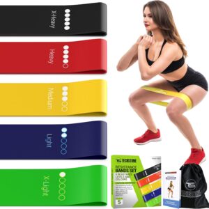 TechStone Resistance Bands Set for Men and Women, Pack of 5 Different Levels Elastic Band for Home Gym Long Exercise Workout – Great Fitness Equipment for Training, Yoga – Free Carrying Bag (Blue)