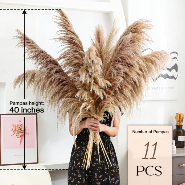 40" inch 11 Stems Natural Pampas Grass Tall Decor,Pompas Grass,Large Brown Tall Pampas Grass for Floor Vase,Wedding Decorations,Party,Boho Home Decor,and Creating a Boho Ambiance - Image 2