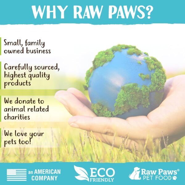 Raw Paws Catnip Balls for Cats, (6-Count) - Interactive Cat Toy for Indoor Cats - Cat Nip Licking Balls - Image 6