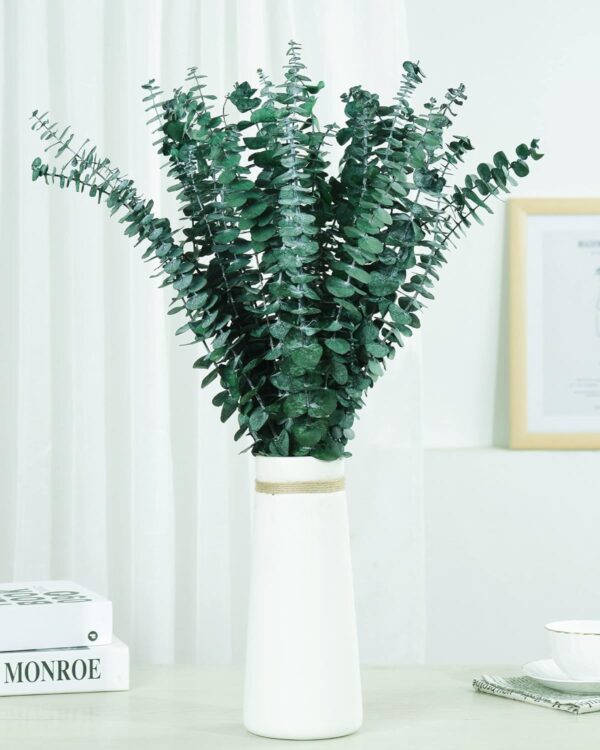 30 Pcs Dried Preserved Eucalyptus Stems Shower Bundle, 9oz 17" Natural Fresh Eucalyptus Plant, Real Leaves Branches for Shower Vase Filler, Dried Flowers Arrangement Home Decor - Image 9