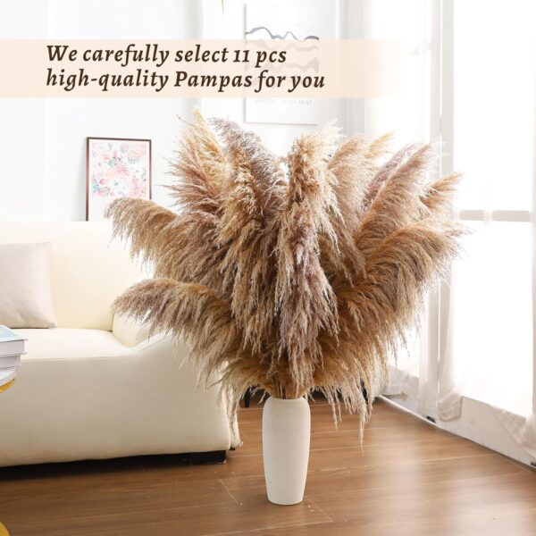 40" inch 11 Stems Natural Pampas Grass Tall Decor,Pompas Grass,Large Brown Tall Pampas Grass for Floor Vase,Wedding Decorations,Party,Boho Home Decor,and Creating a Boho Ambiance - Image 3