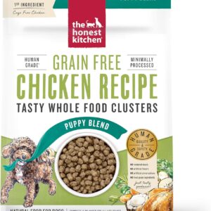 The Honest Kitchen Whole Food Clusters Puppy Grain Free Chicken Dry Dog Food, 1 lb Bag