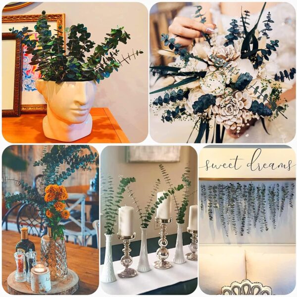 30 Pcs Dried Preserved Eucalyptus Stems Shower Bundle, 9oz 17" Natural Fresh Eucalyptus Plant, Real Leaves Branches for Shower Vase Filler, Dried Flowers Arrangement Home Decor - Image 7
