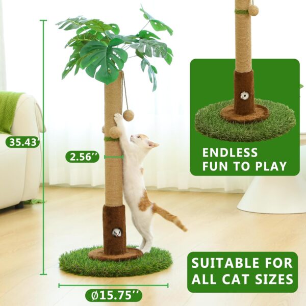 Cat Scratching Post for Indoor Cats and Kitten - 35.43" Tall Cat Scratching Post with Sisal Rope,Palm Tree Cat Scratch Post with Hanging Ball - Image 6