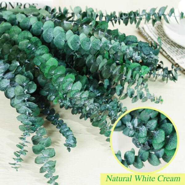 30 Pcs Dried Preserved Eucalyptus Stems Shower Bundle, 9oz 17" Natural Fresh Eucalyptus Plant, Real Leaves Branches for Shower Vase Filler, Dried Flowers Arrangement Home Decor - Image 2