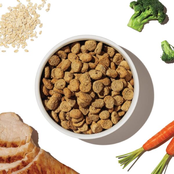 The Honest Kitchen Whole Food Clusters Whole Grain Chicken & Oat Dry Dog Food, 1 lb Bag - Image 7