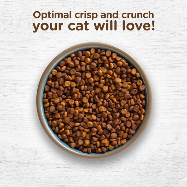 Rachael Ray Nutrish Indoor Complete Premium Natural Dry Cat Food, Chicken with Lentils & Salmon Recipe, 6 Pounds (Packaging May Vary) - Image 4