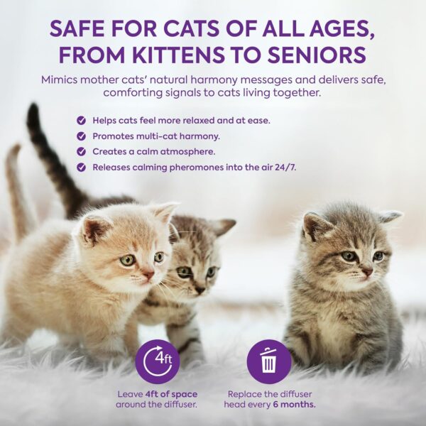 Cat Pheromones Calming Diffuser: Premium Pheromone Diffuser for Cats - Cat Pheromones Diffuser - Cat Calming Diffuser - Cat Calming Pheromone Diffuser, 2 Pack (Purple) - Image 5