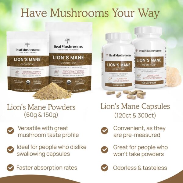 Lions Mane Mushroom Cognition (120 Capsules) Lions Mane Mushroom Powder Extract Capsules | Brain Supplement, Brain Vitamins, Focus Supplement - Image 7