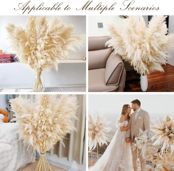 40" 11 PCS Dried Pampas Grass Decor Tall,Large Natural Beige pompas Grass,Tall Pampas Grass for Floor Vase,Wedding,Party,Farmhouse,Boho Home Decor,and Creating a Bohemian Ambiance - Image 7